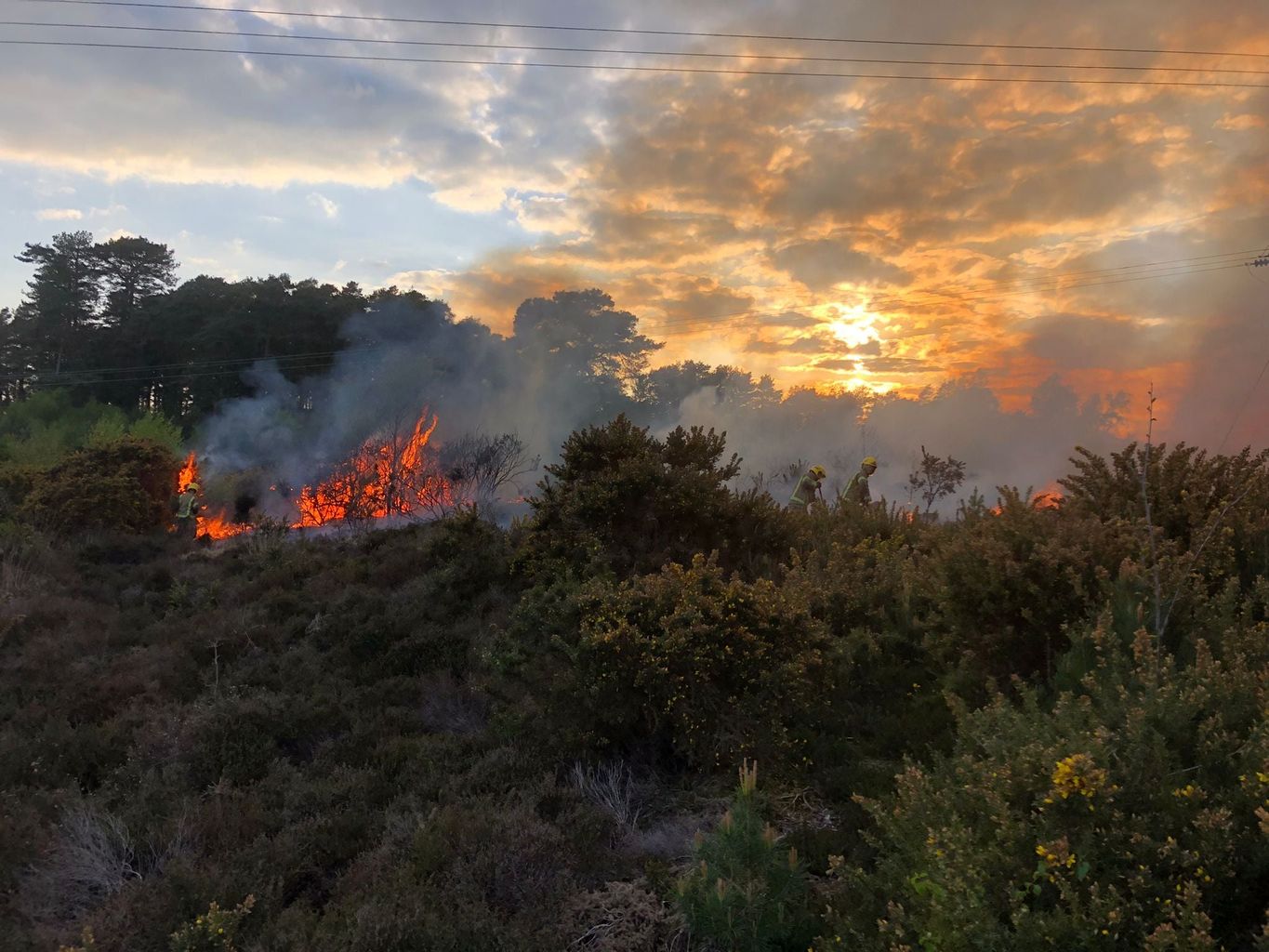 30 firefighters tackle another heath fire in Dorset GHR Dorset